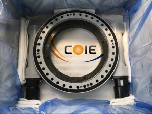 Dual Worm Hydraulic Motor Slewing Drive Slewing Bearing